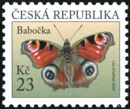 European Peacock (Aglais io)