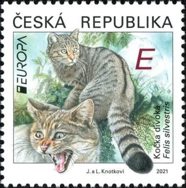 Europa (C.E.P.T.) 2021 - Wildcat (Felis silvestris)