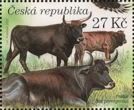 Aurochs (Bos primigenius)