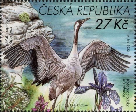 Common Crane (Grus grus) & Siberian Iris (Iris sibirica)