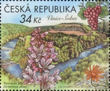 Šobes Vineyard
