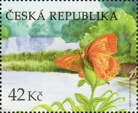 Dark Green Fritillary (Speyeria aglaja)