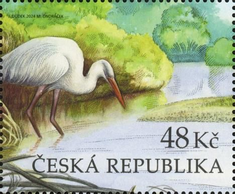 Heron - Little Egret (Egretta garzetta)