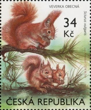 Red Squirrel (Sciurus vulgaris)