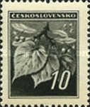 Linden Leaves