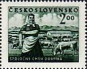 Collective Cattle (Bos taurus) Breeding