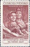 Red Army Soldier and Partisan