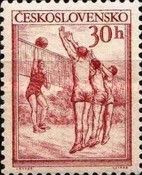Volleyball