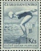Swimmer