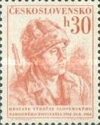 Slovak Insurrectionist