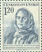 Partisan woman