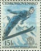 Ski jumper