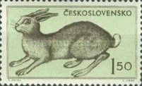 European Hare (Lepus europaeus)