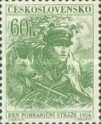 Day of Border Guards, Dog (Canis lupus famiiaris)