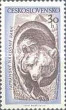 Brown Bear (Ursus arctos)