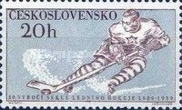 Ice Hockey