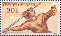 Girl Throwing Javelin