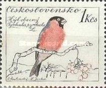 Eurasian Bullfinch (Pyrrhula pyrrhula)