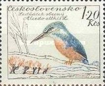 Common Kingfisher (Alcedo atthis)