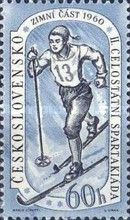 Skier