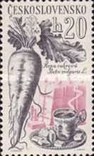 Sugar beet, cup & saucer