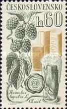 Hops and beer