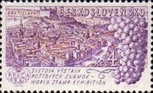 Bratislava and grapes