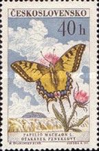 Swallowtail (Papilio machaon)