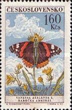 Red Admiral (Vanessa atalanta)