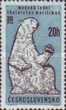 Polar Bear (Ursus maritimus)
