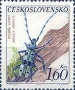 Rosalia Longicorn (Rosalia alpina)