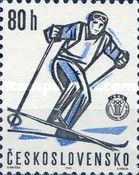Skier