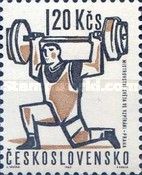 Weight lifter