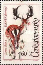 Common Fallow Deer (Dama dama)