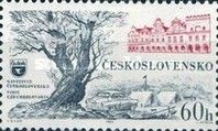 Telc(Moravia) and motorcab