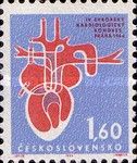 Human heart