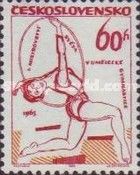 Woman Gymnast