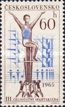 Young Gymnasts