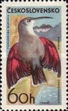 Wallcreeper (Tichodroma muraria)