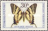 Scarce Swallowtail (Iphiclides podalirius)