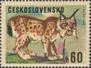 Eurasian Lynx (Lynx lynx)