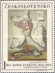 Snow Owl, by Karel Purkyne (1862)