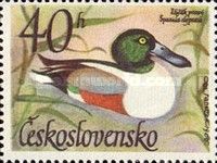 Northern Shoveler (Spatula clypeata)