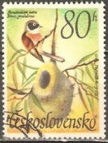 Eurasian Penduline Tit (Remiz pendulinus)