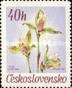 Lycaste deppei Lindl