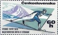 Cross-country skier