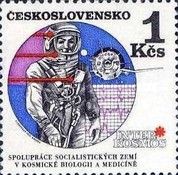 Astronaut and Vostok orbiter