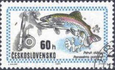 Rainbow Trout (Salmo gairdneri)