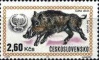 Wild Boar (Sus scrofa)