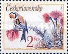 European Goldfinch (Carduelis carduelis)